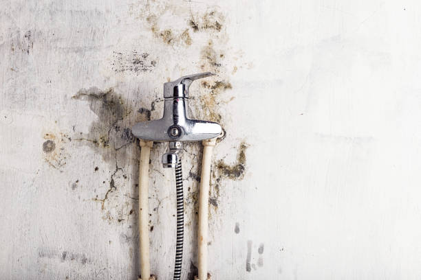 Best Mold Remediation Experts  in Austell, GA