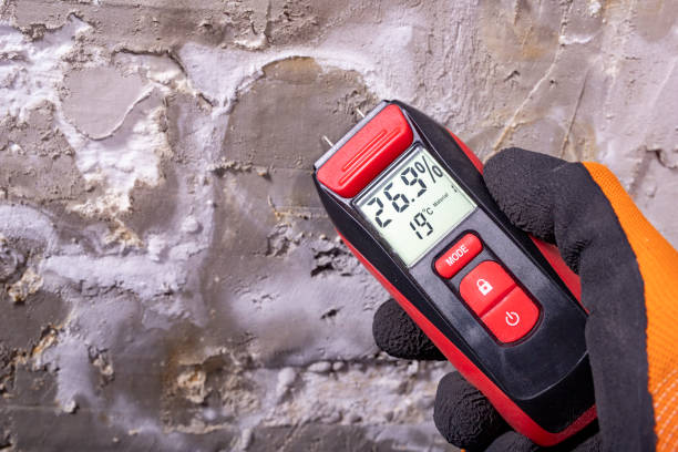 Best Emergency Mold Removal  in Austell, GA